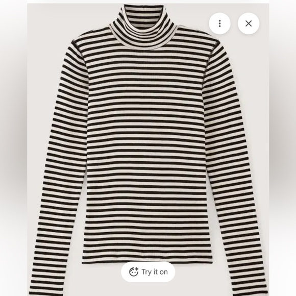 Everlane The Luxe Rib Turtleneck - Picture 2 of 8